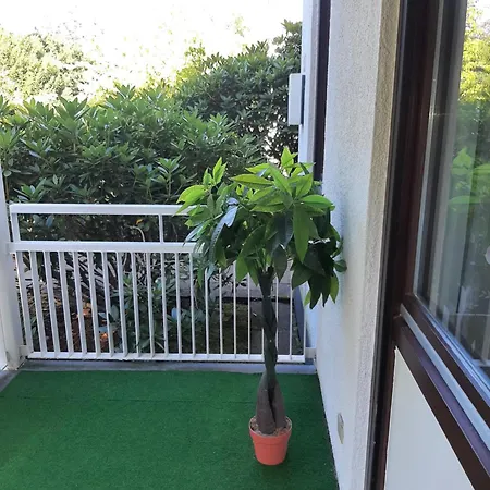 At The Lichtentaler Allee באדן-באדן