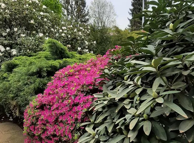 At The Lichtentaler Allee Lägenhet *