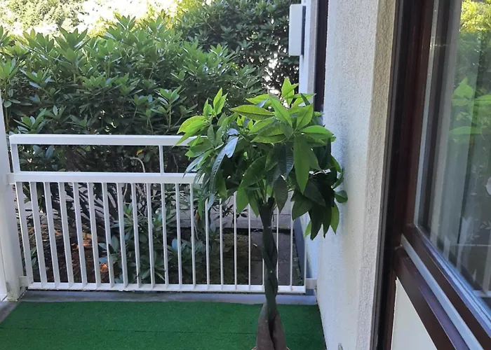 At The Lichtentaler Allee Baden-Baden